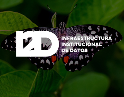 I2D - Brand Family and UI Design