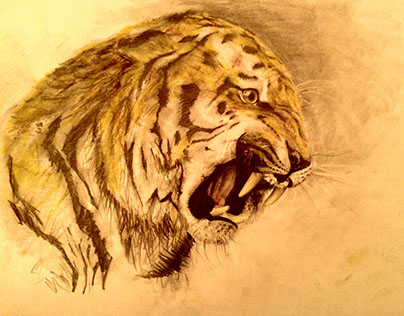 Angry Tiger