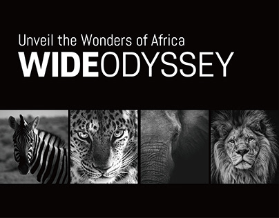WideOdyssey | Tanzania Safari Brand Design