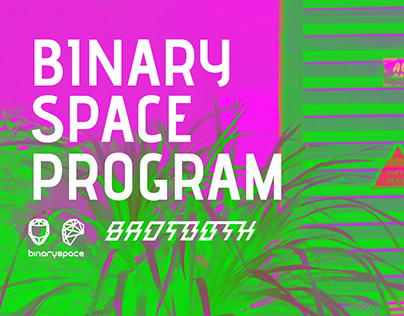 BinarySpaceProgram