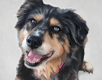 Custom digital pet portrait of Indy for Zak George