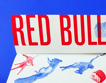 Red Bull Flugtag Booklet