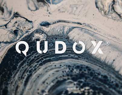 Qudox - Brand Identity