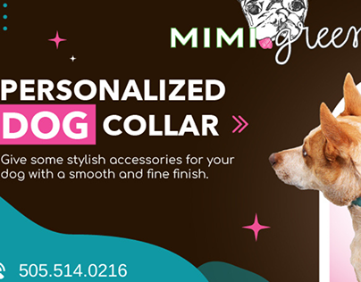 Get An Innovative Pet Collar