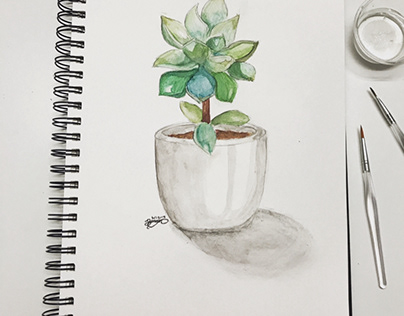 Succulent (watercolor)