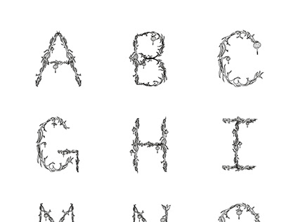 Typography Design