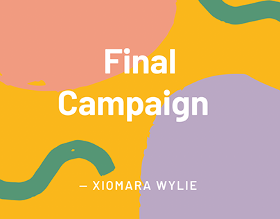 Final Campaign Project