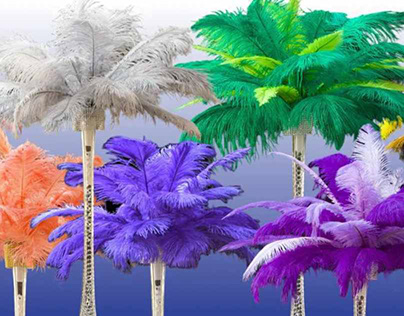 Ostrich Feathers and Centerpieces Overview