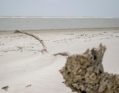 Beach of Bengal (Bak-khali)