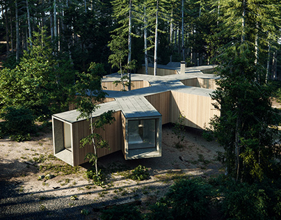 House in the forest by Florian Busch Architects