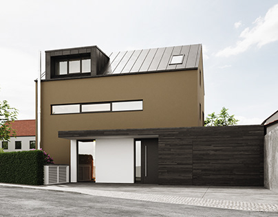 VIZprofistudio Modern Mansion in Germany Full 3D