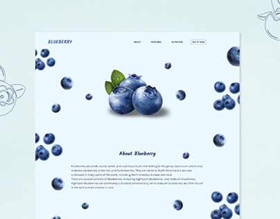 Blueberry Landing Page
