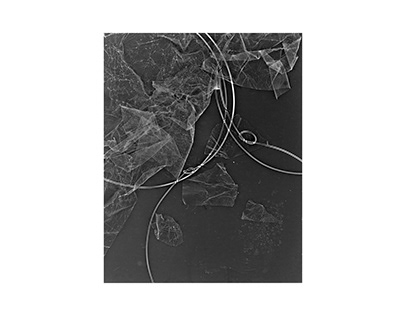 Black and White Photograms