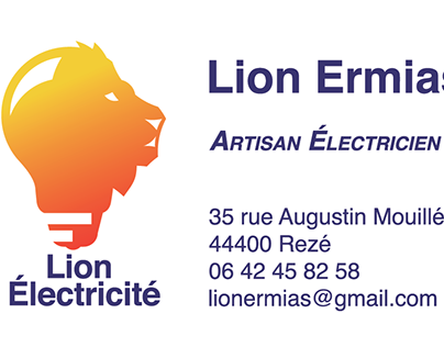 identité visuelle Lion Eletricité