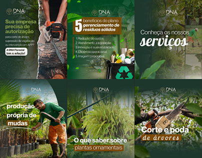 Social Media Design - Reserva Florestal