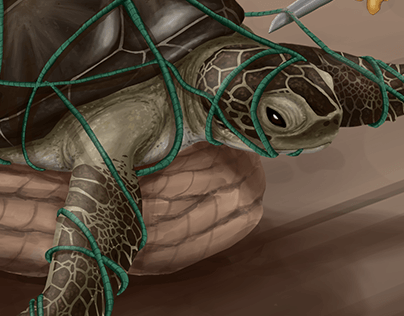 manual de manejo tortugas marinas - digital