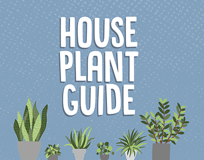 House Plant Guide