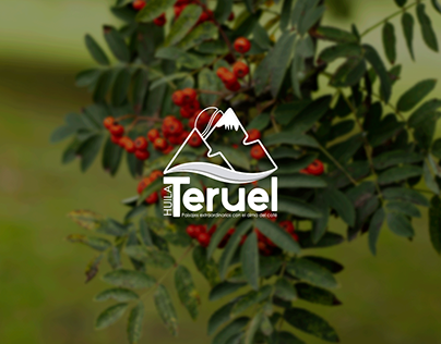 Teruel marca territorial