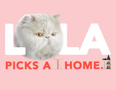 Singtel – Lola Picks A Home