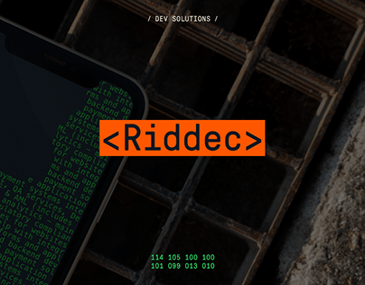 Riddec Brand Identity Design IT Company