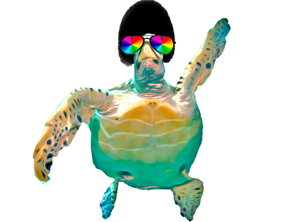 Turtle Boogie Down Project (Sea Turtle Awareness)