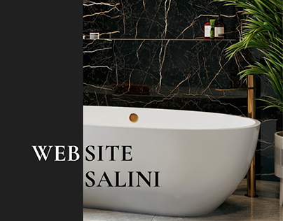 Website Salini