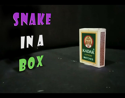 Snake in a box| Claymation project