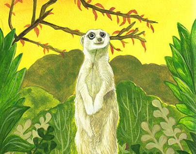 Meerkat in Grassland - Gouache on Paper