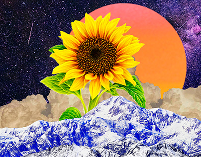 Sunflower Good Collage