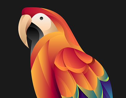 Scarlet macaw illustration