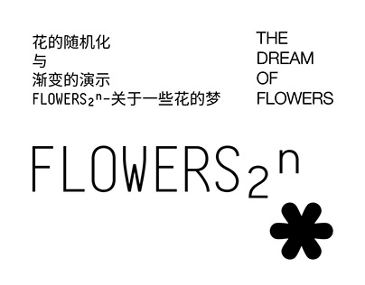 花的随机化与渐变的演示-flowers₂ⁿ-关于一些花的梦