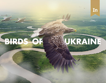Birds of Ukraine