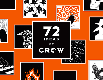 72 Ideas of Crow