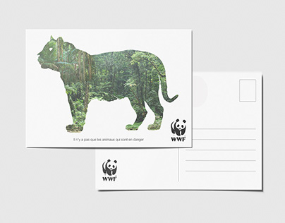 Postcard for WWF