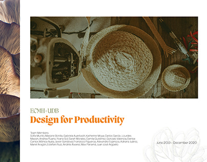 ECMH+UDB: Design for Productivity