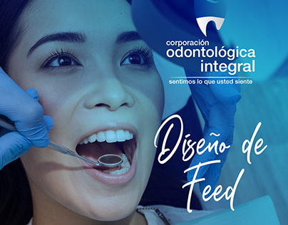 Corporacion Odontológica Integral - Diseño de Feed