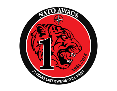 NATO AWACS Squadron 1 35 Year Anniversary Patch