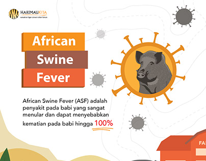 Infographic African Swine Fever