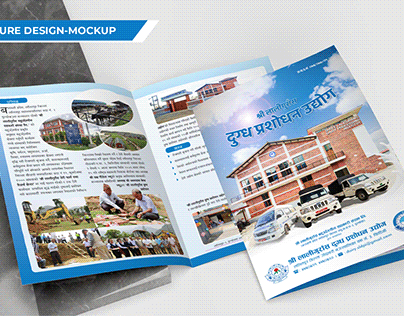 Brochure Design - Mockup