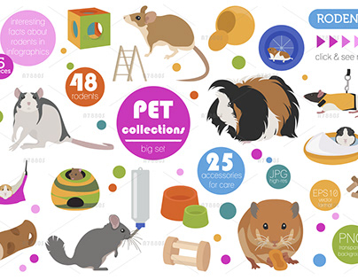 Pet Rodents illustrations set