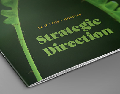 Lake Taupo Hospice | Strategic Direction Document