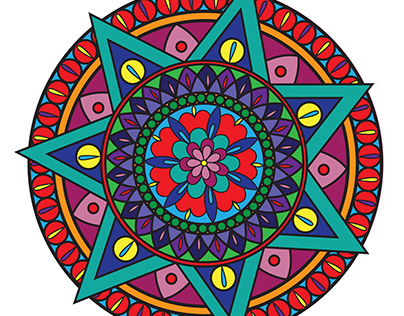 Radial Symmetry Project - 1st Year