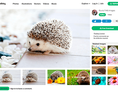 Hedgehog Appreciation - Pixabay Re-Creation Post