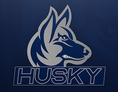 HuskyBaud Logo Project
