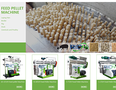 Wholesale 1-40t/h chicken feed pellet device