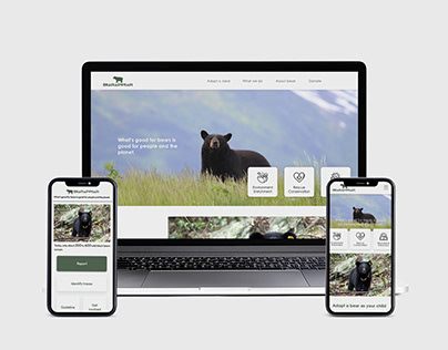 Web/app design-Conserve an endangered species of bear