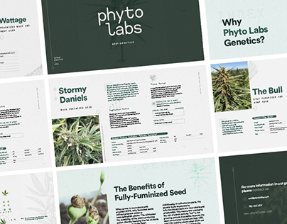 Phyto Labs | Branding