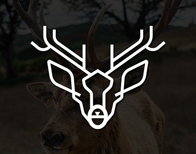 Deer vector illustration/Deer Logo/ Modern Logo
