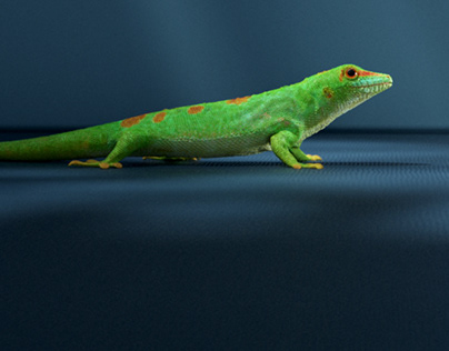 SCHOTT Everic - Gecko Animation
