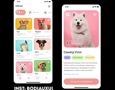 Animal shelter mobile app design case.